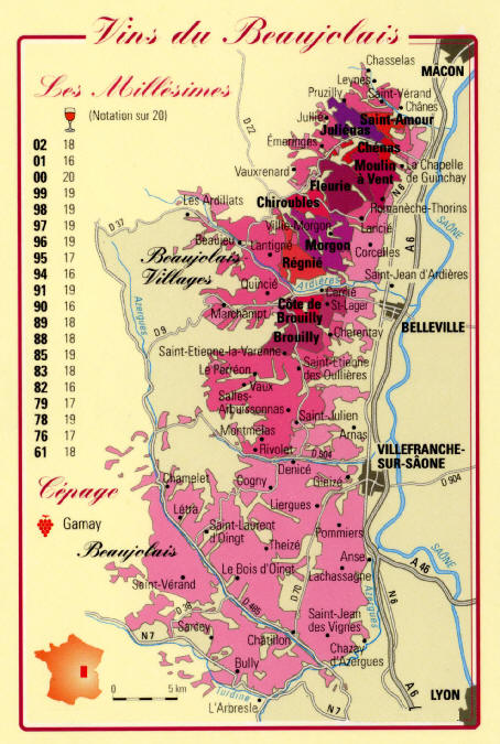 Beaujolais Nouveau - mlad francouzsk vno z odrdy Gamay